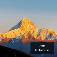 巴乙劲旅塞,阿拉官方宣,米内罗续约,PA真人,PA视讯,真人娱乐,PA平台,在线娱乐